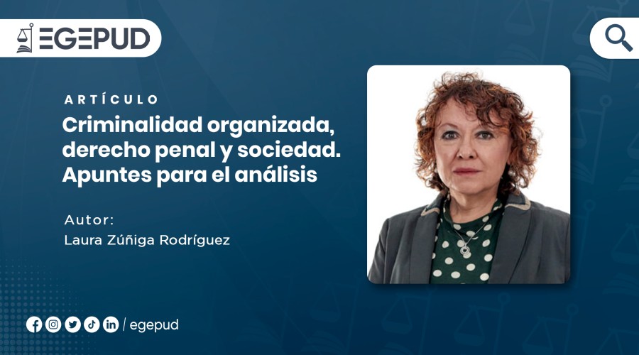 Criminalidad organizada, derecho penal y sociedad. Apuntes para el análisis