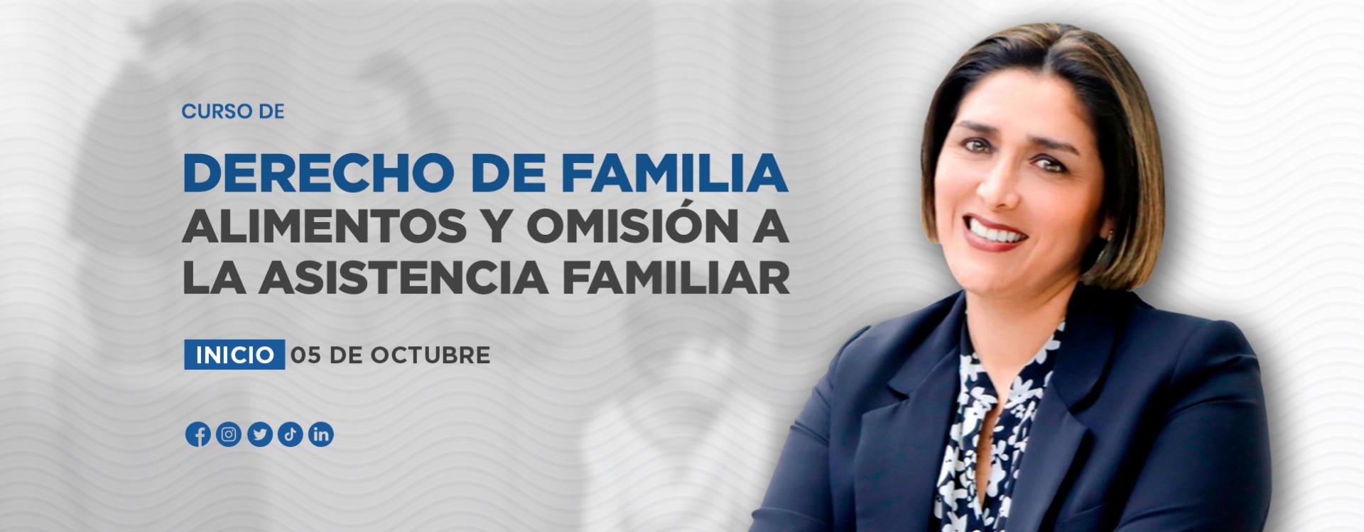 Curso de Derecho de familia, alimentos y omisión a la asistencia familiar