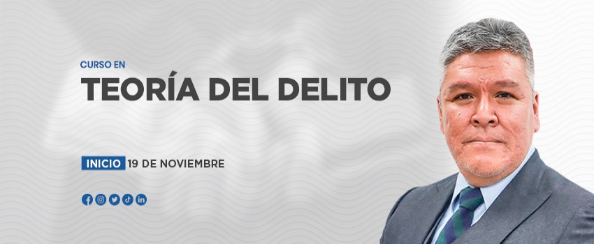 Curso en Teoría del Delito