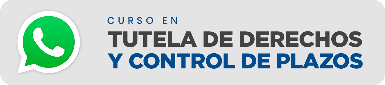 CURSO EN TUTELA DE DERECHOS Y CONTROL DE PLAZOS