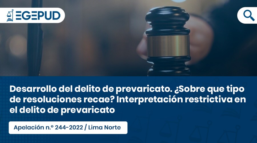 Desarrollo Del Delito De Prevaricato ¿sobre Que Tipo De Resoluciones