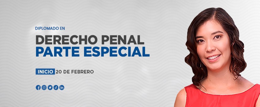 Diplomado en Derecho Penal Parte Especial