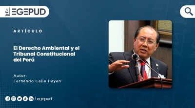 El Derecho Ambiental y el Tribunal Constitucional del Perú