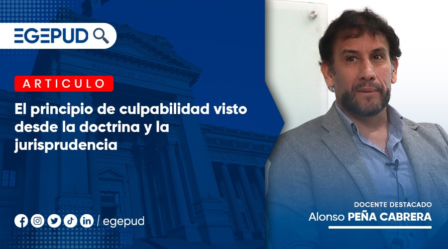 El principio de culpabilidad visto desde la doctrina y la jurisprudencia