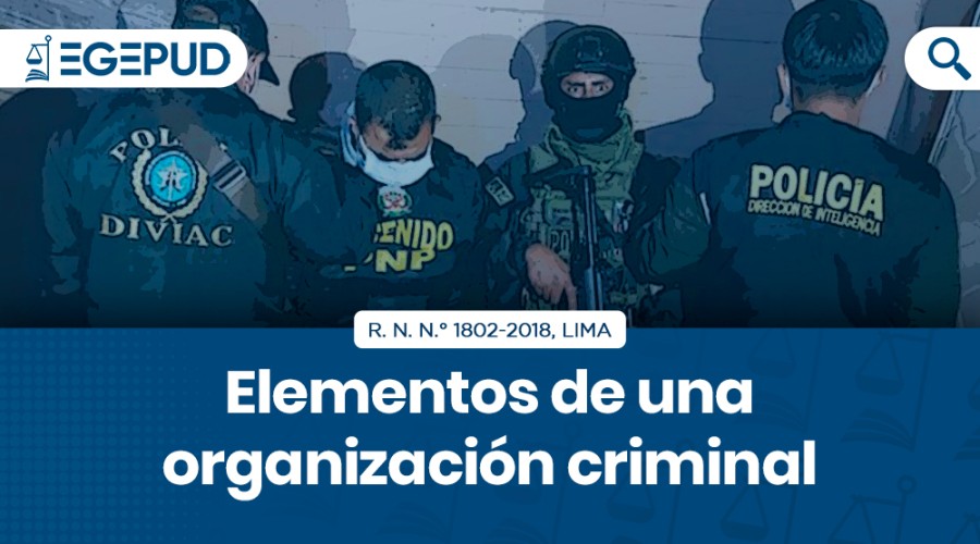 Elementos De Una Organización Criminal 6639