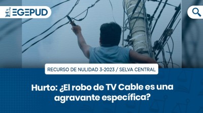 Hurto: ¿El robo de TV Cable es una agravante específica?