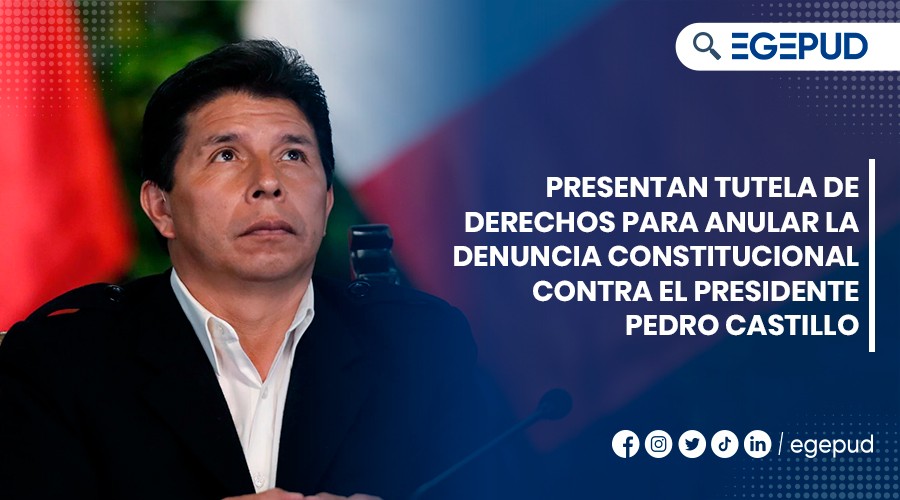 Presentan Tutela De Derechos Para Anular La Denuncia Constitucional